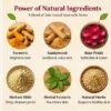 Aroma Tattva Herbal Shahi Ubtan – 20g